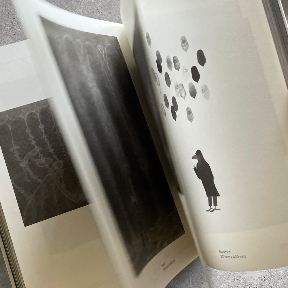 Graphite: The H to B of Contemporary Pencil Art & Drawings