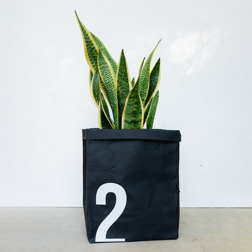 Eco Paper Storage Bag – Large - Black