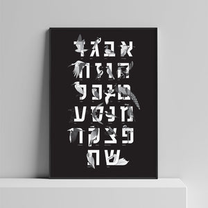 KaRiniTi Hebrew Alphabet Birds Poster     Collaboration with Dovkotev     ▲ 50-70 cm  ▲ 150 gr. cream paper  ▲ Packed in a hard cardboard tube