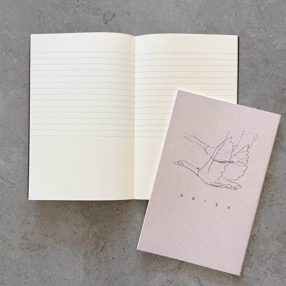 Daniela Spector x KaRiniTi "To Home" hand-sewn notebook set, pink and navy - photo 4