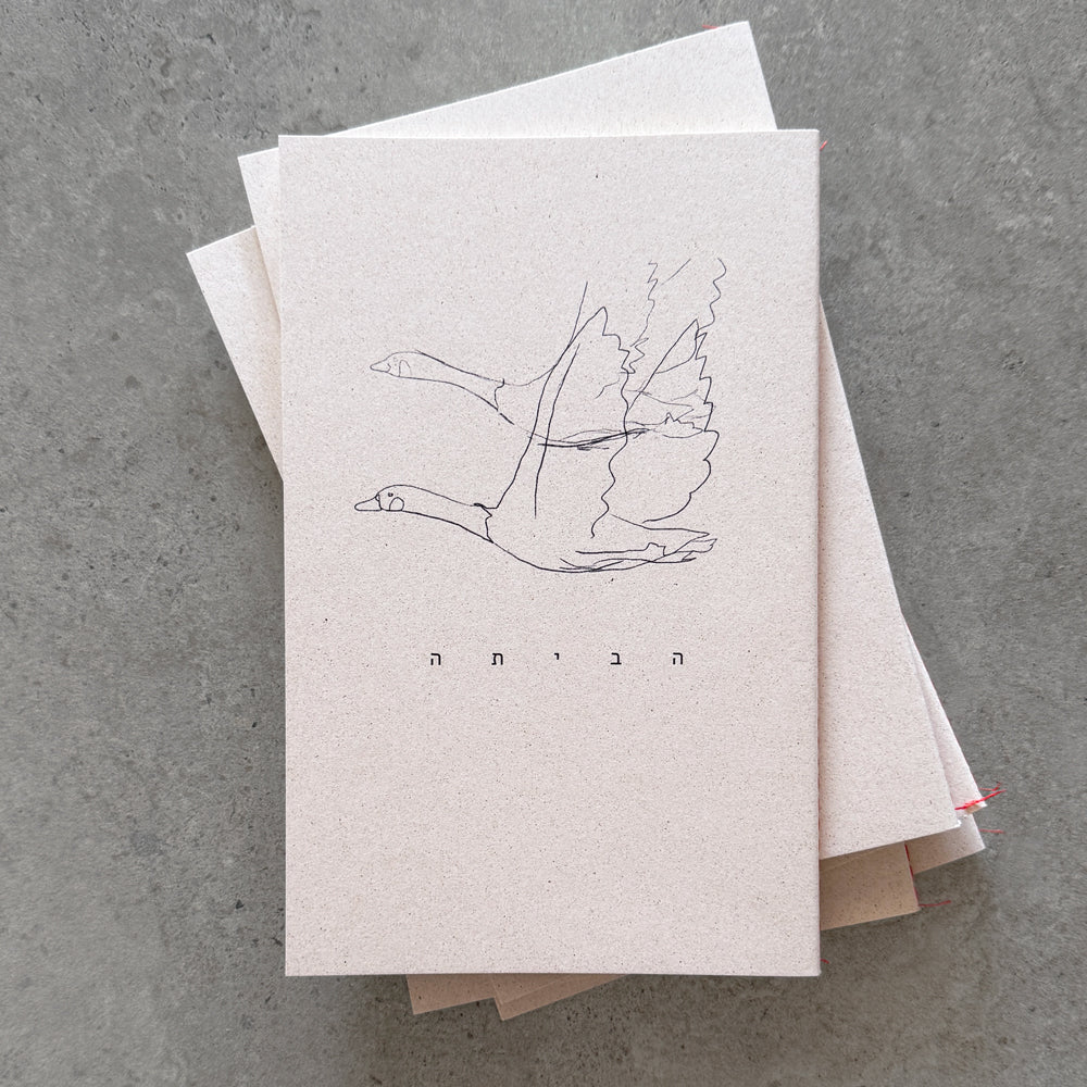 Daniela Spector x KaRiniTi "To Home" hand-sewn notebook set, pink and navy - photo 10