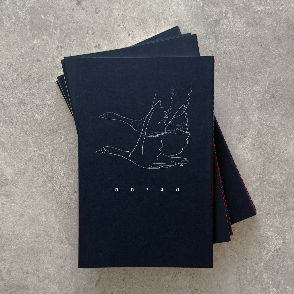 Daniela Spector x KaRiniTi "To Home" hand-sewn notebook set, pink and navy - photo 11