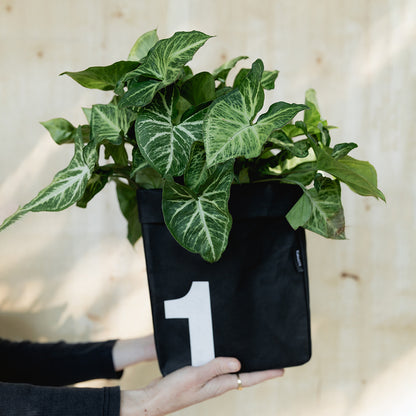 Eco Paper Storage Bag – Small - Black / Grey