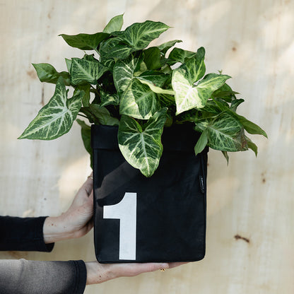 Eco Paper Storage Bag – Small - Black / Grey
